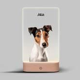 Karikatura Domácích Mazlíčků Lampa LED